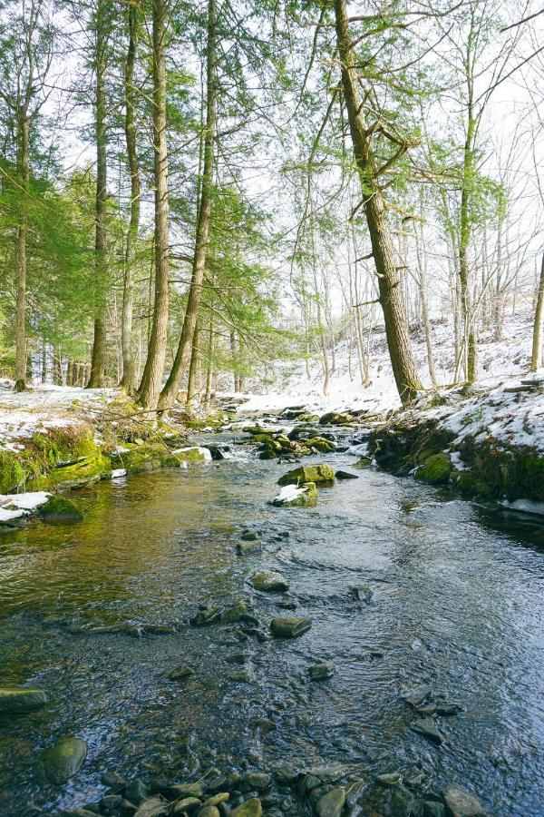 Secluded Streamside Home With Hot Tub Margaretville 外观 照片