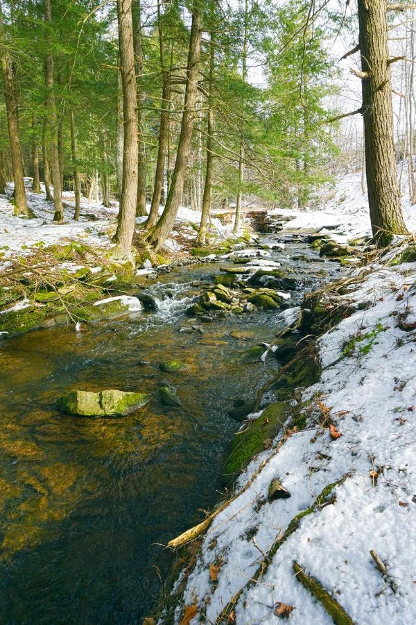 Secluded Streamside Home With Hot Tub Margaretville 外观 照片