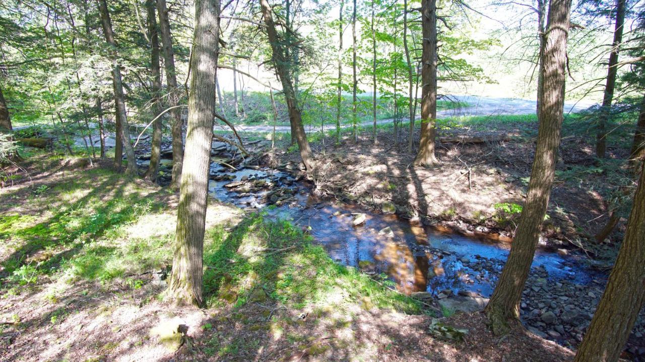 Secluded Streamside Home With Hot Tub Margaretville 外观 照片