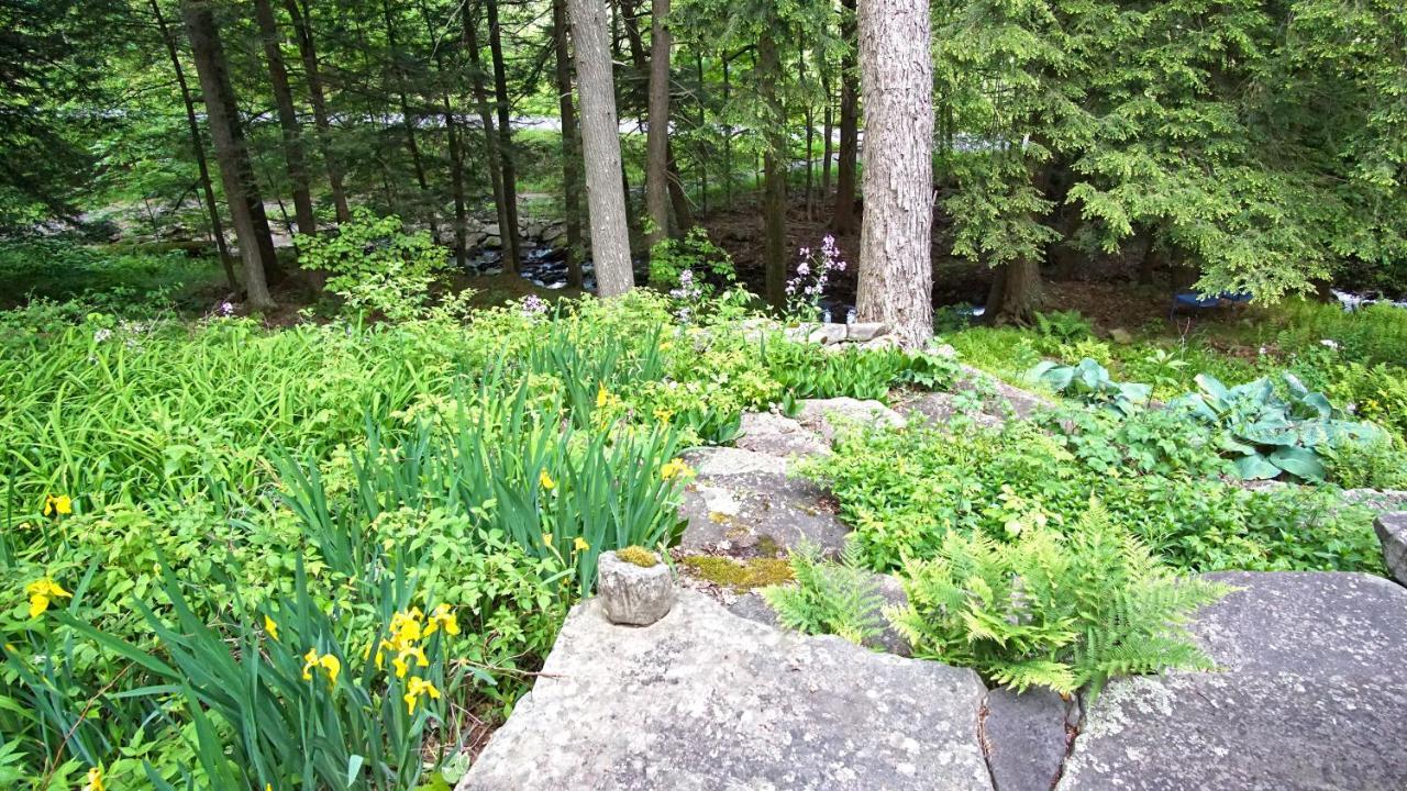 Secluded Streamside Home With Hot Tub Margaretville 外观 照片